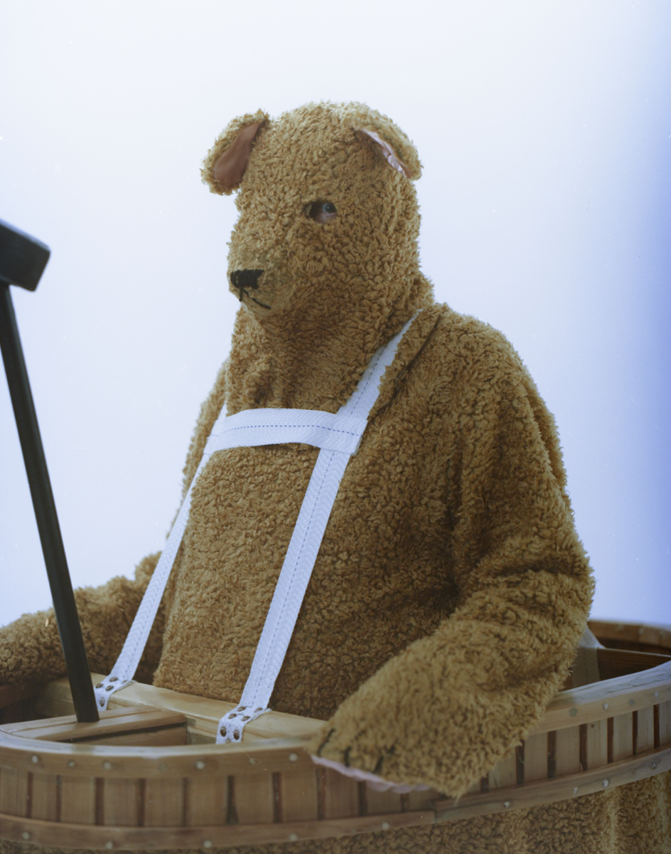 A close-up of the Bear